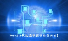 Ownbit钱包在中国被称作什么？