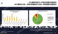 虚拟币uid是什么？如何获取、使用和保护？