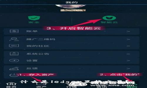 什么是ledger互换交易？