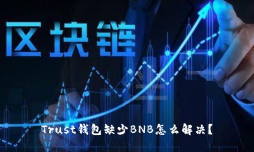 Trust钱包缺少BNB怎么解决？