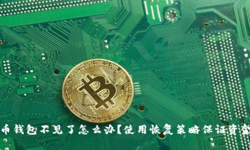 比特币钱包不见了怎么办？使用恢复策略保证资金安全