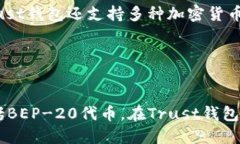  Trust钱包：完美结合Binance Smart Chain的最佳选择