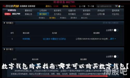 数字钱包购买指南：哪里可以购买数字钱包？