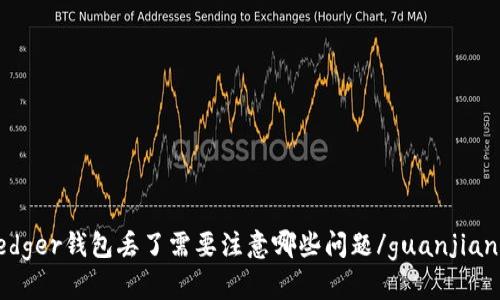 ledger钱包丢了需要注意哪些问题/guanjianci