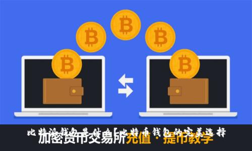 比特派钱包是什么？比特币钱包的完美选择