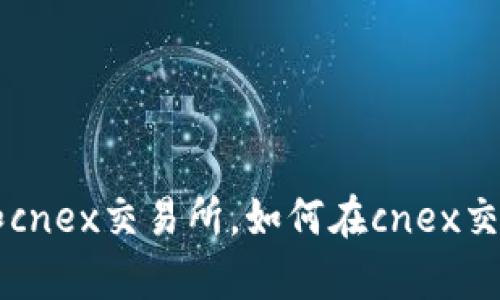 深入了解pi币和cnex交易所，如何在cnex交易所上交易pi币