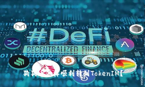 狗狗币怎样顺利转到TokenIM？