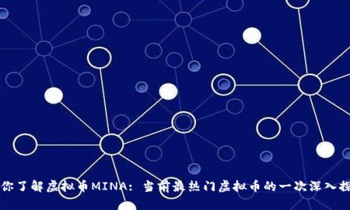 让你了解虚拟币MINA: 当前最热门虚拟币的一次深入探究