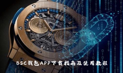 BSC钱包APP下载指南及使用教程