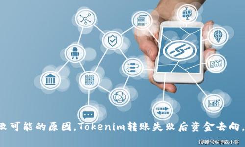 Tokenim转账失败怎么办，转账失败可能的原因，Tokenim转账失败后资金去向，转账失败的解决办法/guanjianci