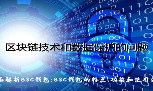 全面解析BSC钱包：BSC钱包的特点、功能和使用方法