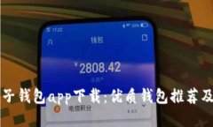 区块链电子钱包app下载：优质钱包推荐及使用指