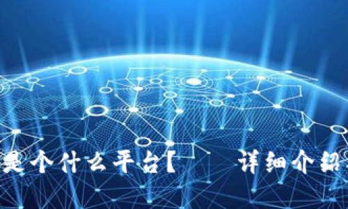 Gopay钱包是个什么平台？——详细介绍及使用攻略