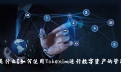 Tokenim是什么？如何使用Tokenim进行数字资产的管理