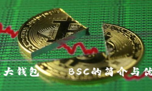 币圈三大钱包——BSC的简介与优势分析