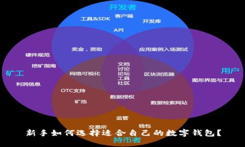 新手如何选择适合自己的数字钱包？