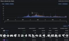 如何安全地学习派币钱包的使用，视频教程可信