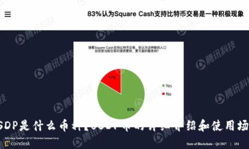 USDP是什么币种？USDP币的详细介绍和使用场景