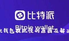 Trust钱包提现慢的原因及解决方法