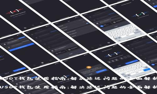 USDT钱包使用指南：解决延迟问题的全面解析

USDT钱包使用指南：解决延迟问题的全面解析