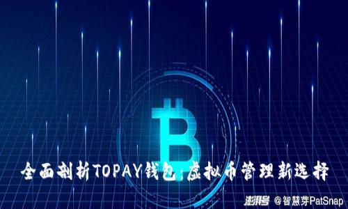 全面剖析TOPAY钱包：虚拟币管理新选择