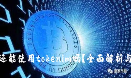 被盗手机还能使用tokenim吗？全面解析与应对措施