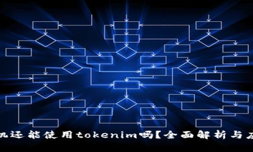 被盗手机还能使用tokenim吗？全面解析与应对措施