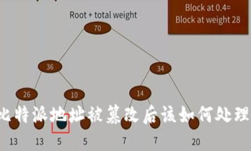 比特派地址被篡改后该如何处理？