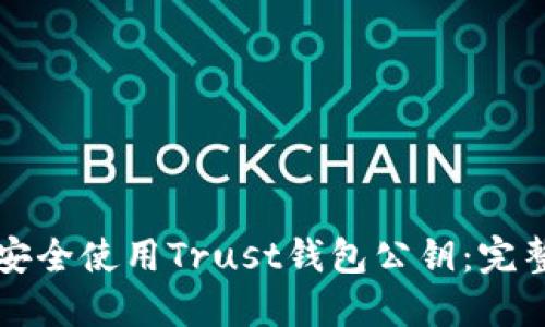 如何安全使用Trust钱包公钥：完整指南