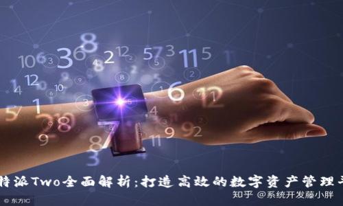 比特派Two全面解析：打造高效的数字资产管理平台