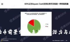 波场币前景分析：未来发展潜力与风险