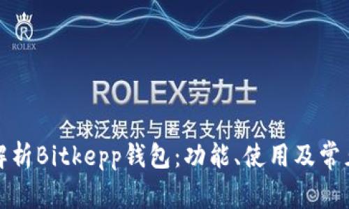 全面解析Bitkepp钱包：功能、使用及常见问题