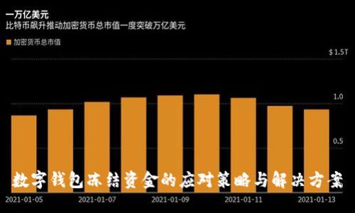 数字钱包冻结资金的应对策略与解决方案