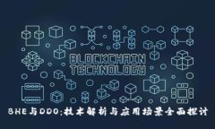 BHE与DDO：技术解析与应用场景全面探讨