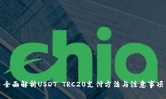 全面解析USDT TRC20支付方法与注意事项