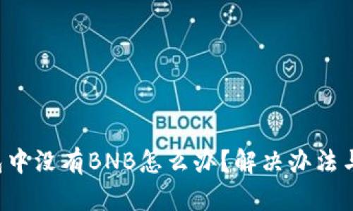 Trust钱包中没有BNB怎么办？解决办法与应对策略