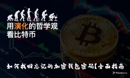 如何找回忘记的加密钱包密码？全面指南