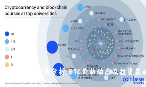 今日比特币行情分析：BTC价格动态及投资策略