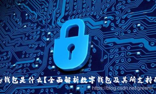 GoPay钱包是什么？全面解析数字钱包及其所支持的币种