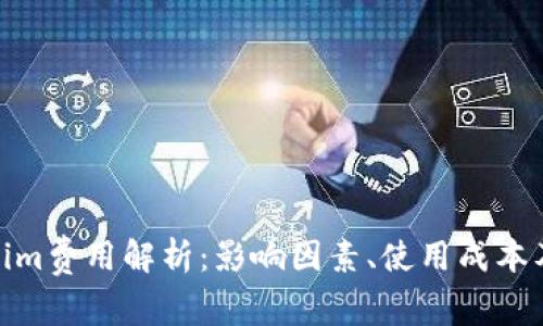 Tokenim费用解析：影响因素、使用成本及策略