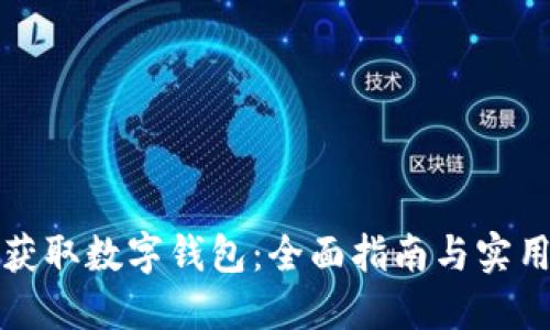 如何获取数字钱包：全面指南与实用技巧