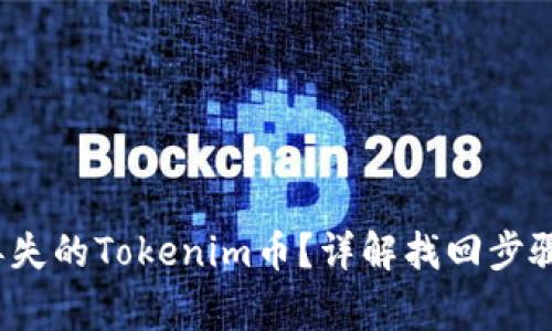  如何找回丢失的Tokenim币？详解找回步骤与注意事项