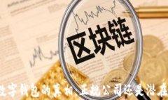 揭开数字钱包的真相：正规公司还是潜在风险？