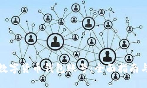 如何找回数字货币钱包账号：全面指南与实用技巧