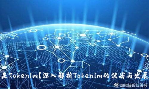 什么是Tokenim？深入解析Tokenim的优劣与发展前景