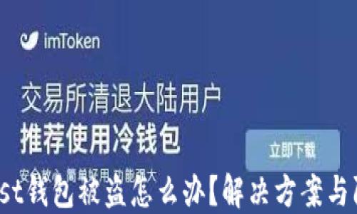 
遇到Trust钱包被盗怎么办？解决方案与防范措施