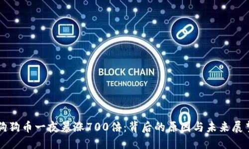 狗狗币一夜暴涨700倍：背后的原因与未来展望