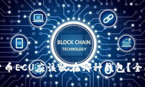 数字货币ECU应该放在哪种钱包？全面指南