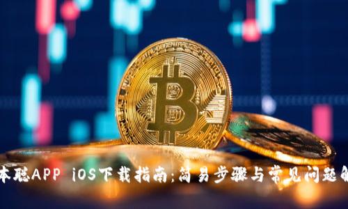 中本聪APP iOS下载指南：简易步骤与常见问题解答