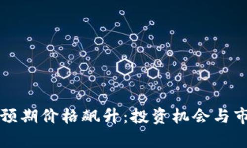 狗狗币预期价格飙升：投资机会与市场分析